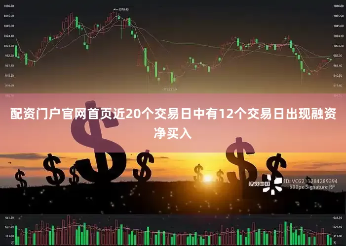 配资门户官网首页近20个交易日中有12个交易日出现融资净买入