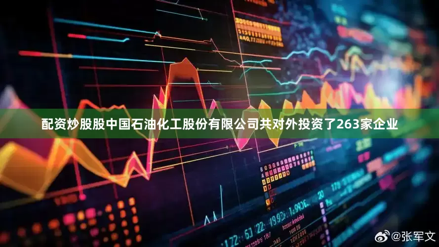 配资炒股股中国石油化工股份有限公司共对外投资了263家企业