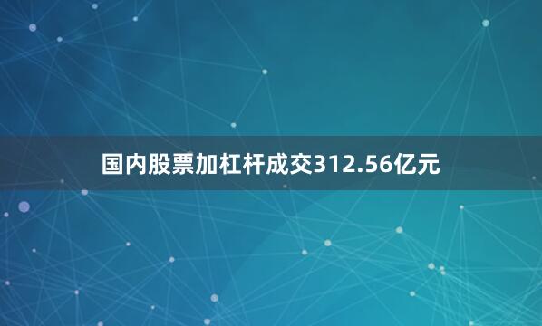 国内股票加杠杆成交312.56亿元